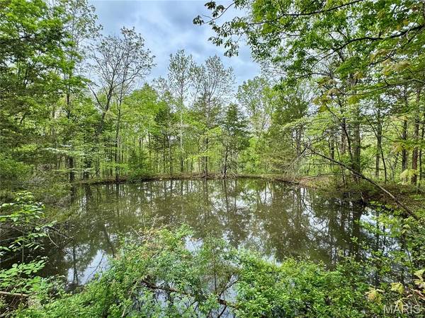 000 Hank Lane, Dixon, MO 65459