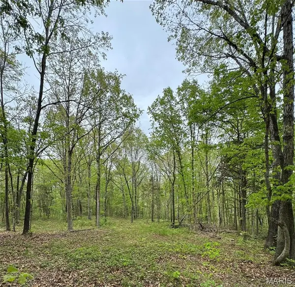 000 Hank Lane, Dixon, MO 65459
