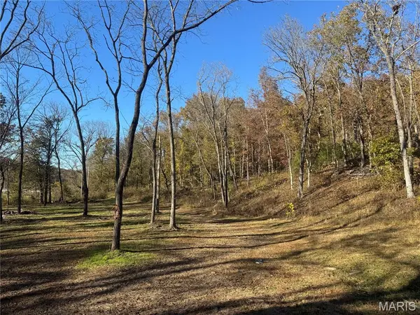 000 Hank Lane, Dixon, MO 65459