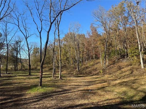 000 Hank Lane, Dixon, MO 65459
