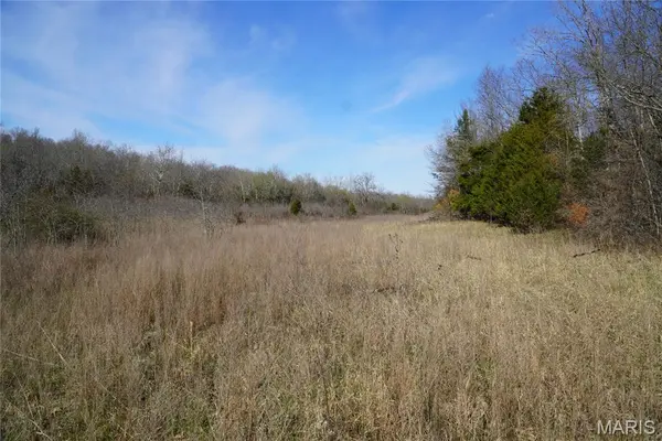 10734 Long Valley DR, Plato, MO 65552