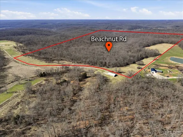 86.6+/- Acre Beechnut, Stover, MO 65078