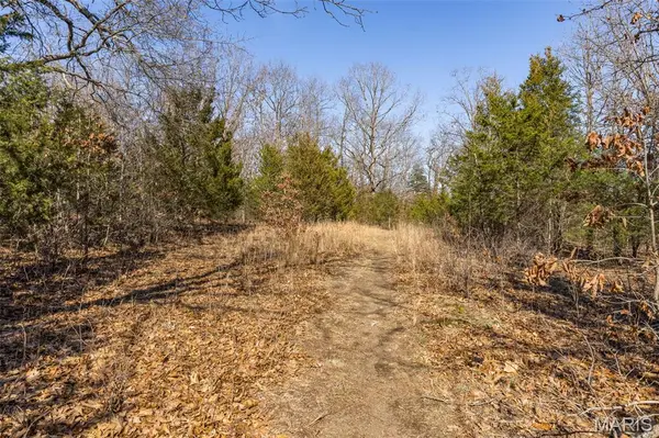 Lot 15 Ozark Heights RD, Mineral Point, MO 63660