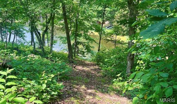 6809 Cedar Lake DR, Bonne Terre, MO 63628