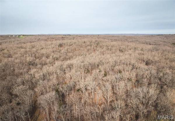 000 County Road 3600 Tract 1, St James, MO 65559