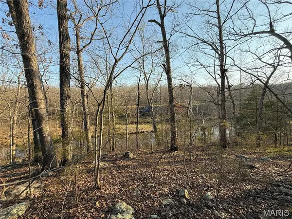 #411 North Deer Trail, Fredericktown, MO 63645