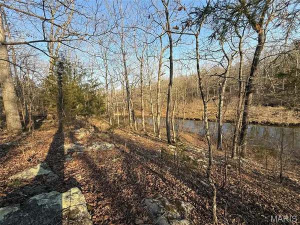 #411 North Deer Trail, Fredericktown, MO 63645