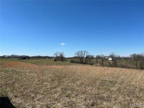 11 and 21 Bryants Creek DR, Elsberry, MO 63343