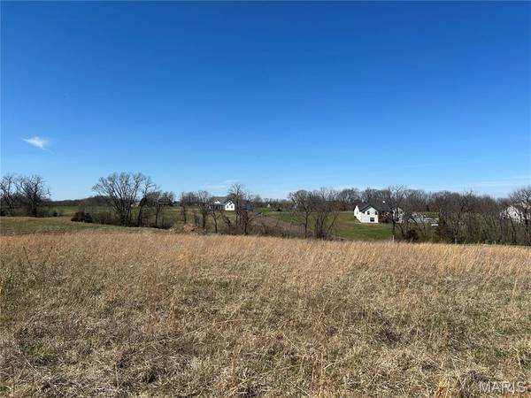 11 and 21 Bryants Creek DR, Elsberry, MO 63343