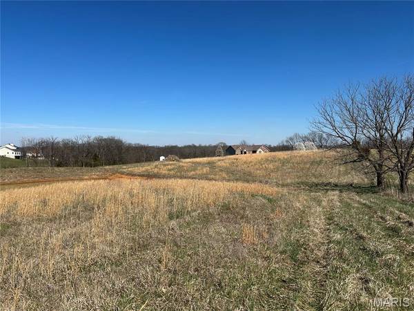 11 and 21 Bryants Creek DR, Elsberry, MO 63343