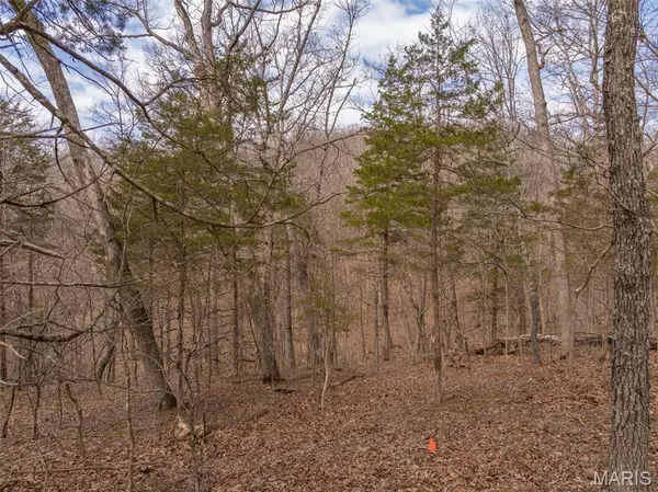 2537 Alpine Woods Drive, Innsbrook, MO 63390