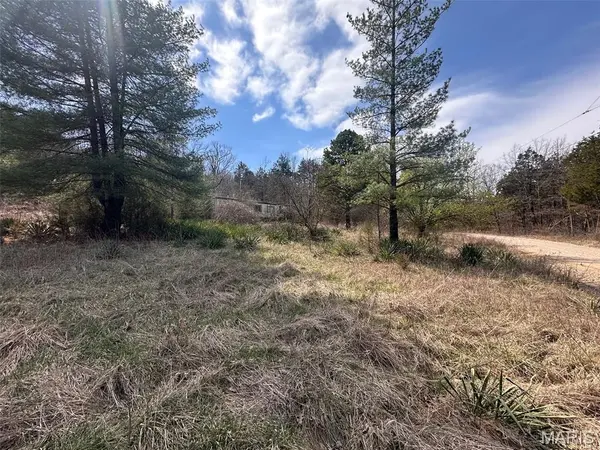 2172 Lake Park TRL, De Soto, MO 63020