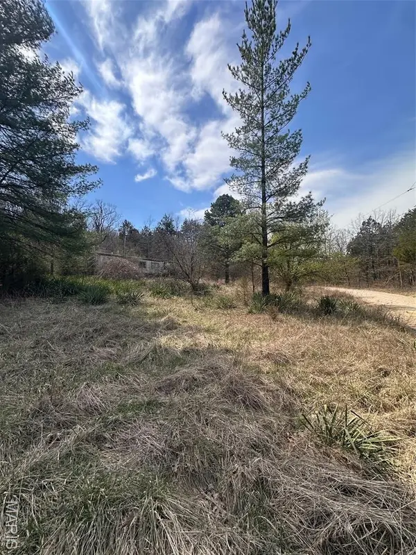 2172 Lake Park TRL, De Soto, MO 63020