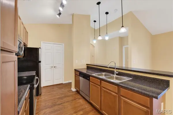 29 Kassebaum LN #304, Unincorporated, MO 63129
