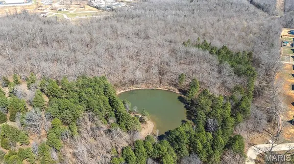 0 East of County Road 441, Poplar Bluff, MO 63901