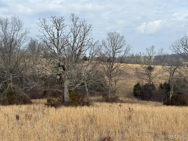000 Barnum Drive Tract 1, Cabool, MO 65689