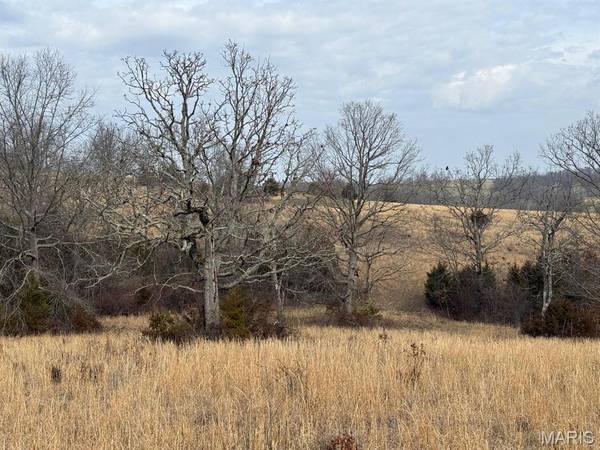 000 Barnum Drive Tract 1, Cabool, MO 65689