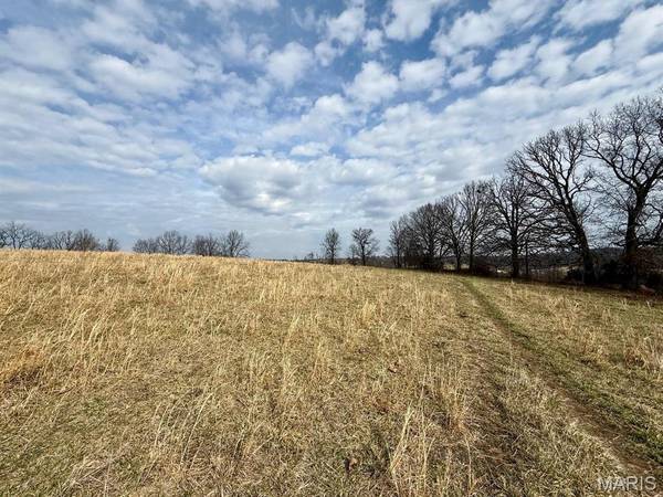 000 Barnum Drive Tract 1, Cabool, MO 65689