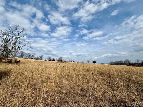 000 Barnum Drive Tract 1, Cabool, MO 65689