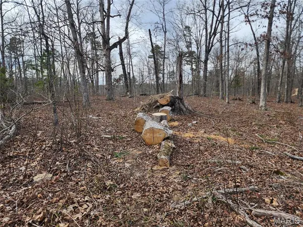 0 Wayne County Road 434, Piedmont, MO 63957