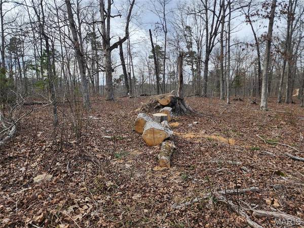 0 Wayne County Road 434, Piedmont, MO 63957