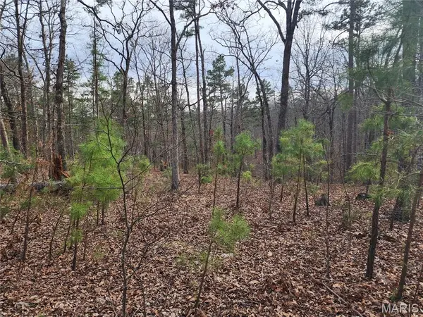 0 Wayne County Road 434, Piedmont, MO 63957