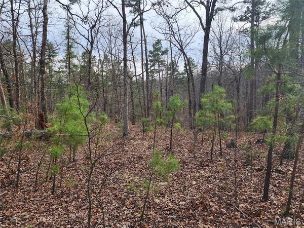0 Wayne County Road 434, Piedmont, MO 63957