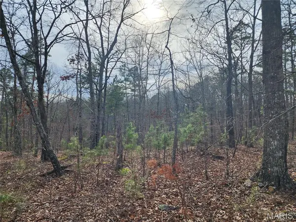 0 Wayne County Road 434, Piedmont, MO 63957