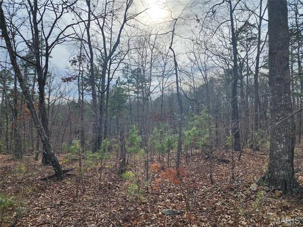 0 Wayne County Road 434, Piedmont, MO 63957