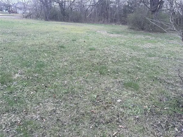 226 N Large ST, Park Hills, MO 63601