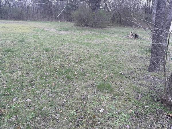 226 N Large ST, Park Hills, MO 63601
