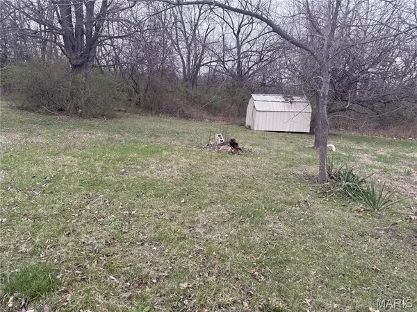 226 N Large ST, Park Hills, MO 63601