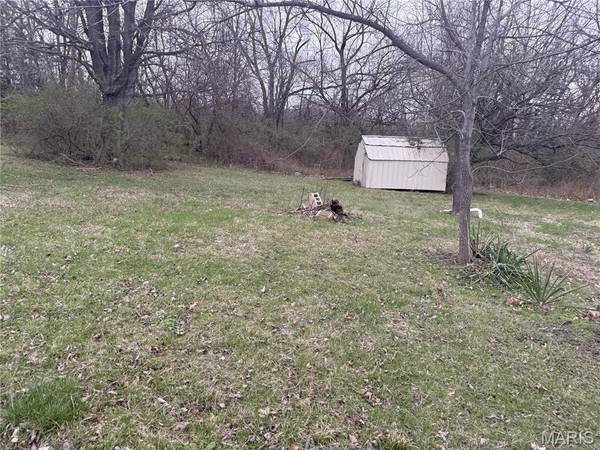 226 N Large ST, Park Hills, MO 63601