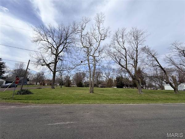 13007 Harrison TRL, Litchfield, IL 62056
