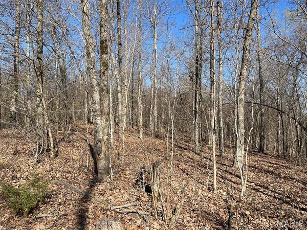 Tract #1 Lake Road, Silva, MO 63964