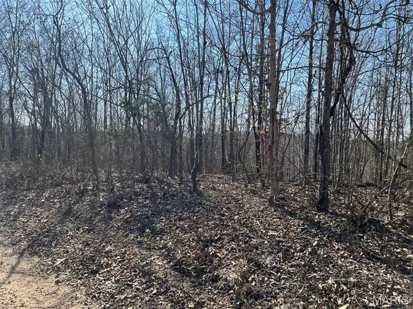 Tract #4 Lake Road, Silva, MO 63964