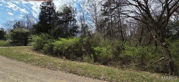 0 Rue De La Paix, Bonne Terre, MO 63628