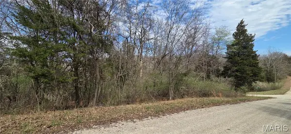 0 Rue De La Paix, Bonne Terre, MO 63628