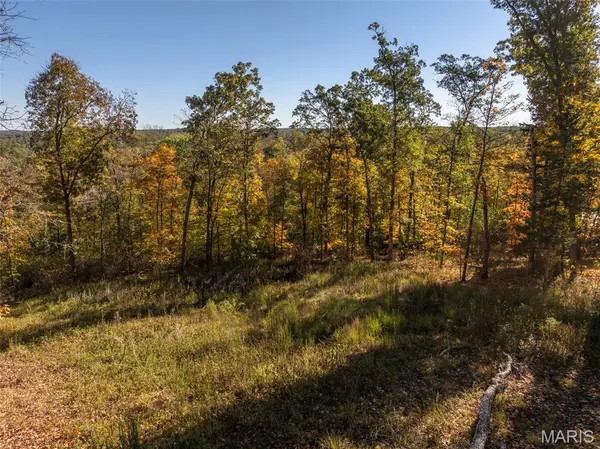 2824 Morgan Lake DR, Innsbrook, MO 63390
