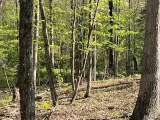 Tract 4 Walker Way, Monroe City, MO 63456