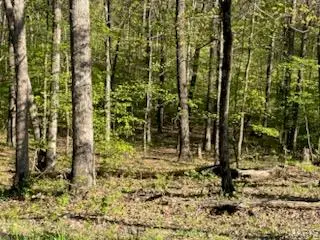 Tract 4 Walker Way, Monroe City, MO 63456