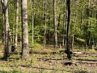 Tract 4 Walker Way, Monroe City, MO 63456