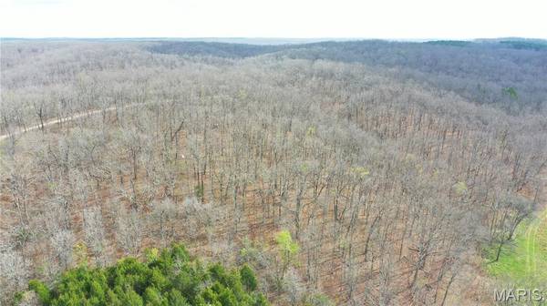 0 TBD CR 4280, Salem, MO 65560