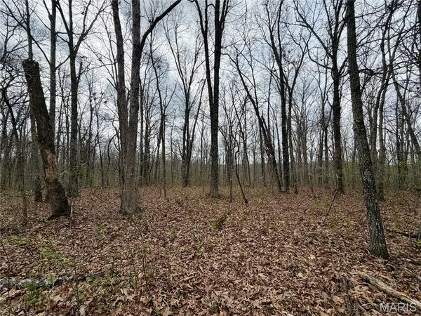 0 TBD CR 4280, Salem, MO 65560