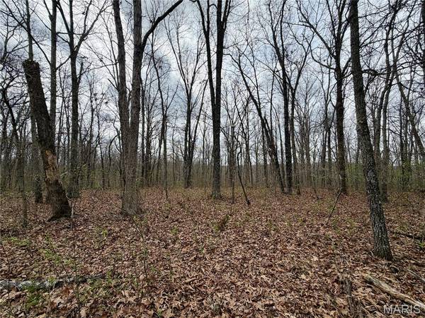 0 TBD CR 4280, Salem, MO 65560