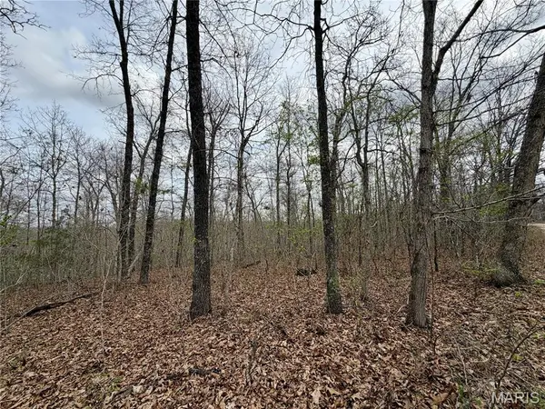 0 TBD CR 4280, Salem, MO 65560