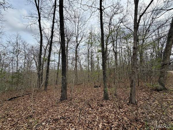 0 TBD CR 4280, Salem, MO 65560