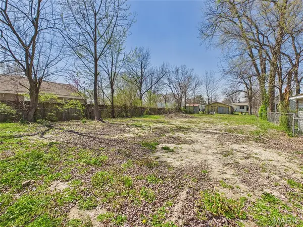 723 N Elm ST, Dexter, MO 63841