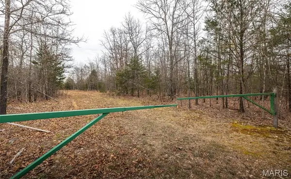 000 County Road 2660, Mountain View, MO 65548
