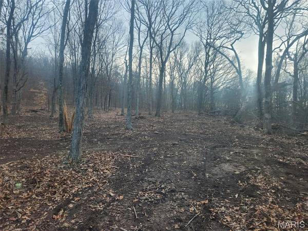 0 Highway O, Fredericktown, MO 63645